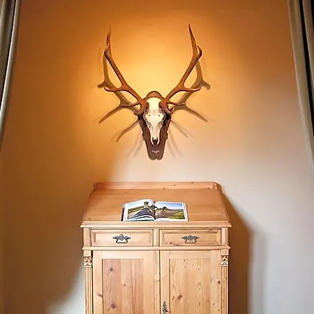 Boutique-hotel Alter Gerichtshof Хартберг