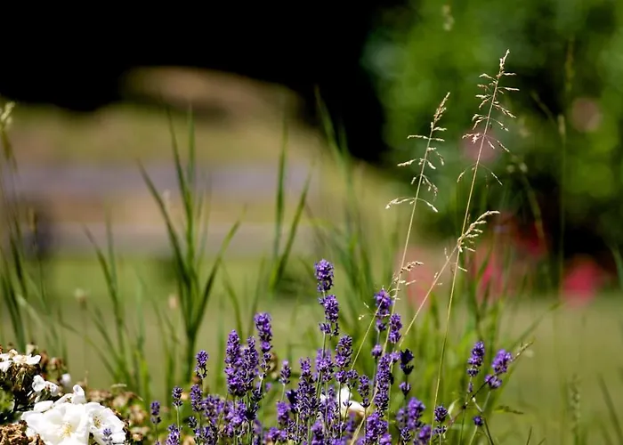 Boutique-hotel Alter Gerichtshof 4*